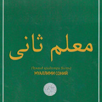 Masturbation cums on pussy close-up